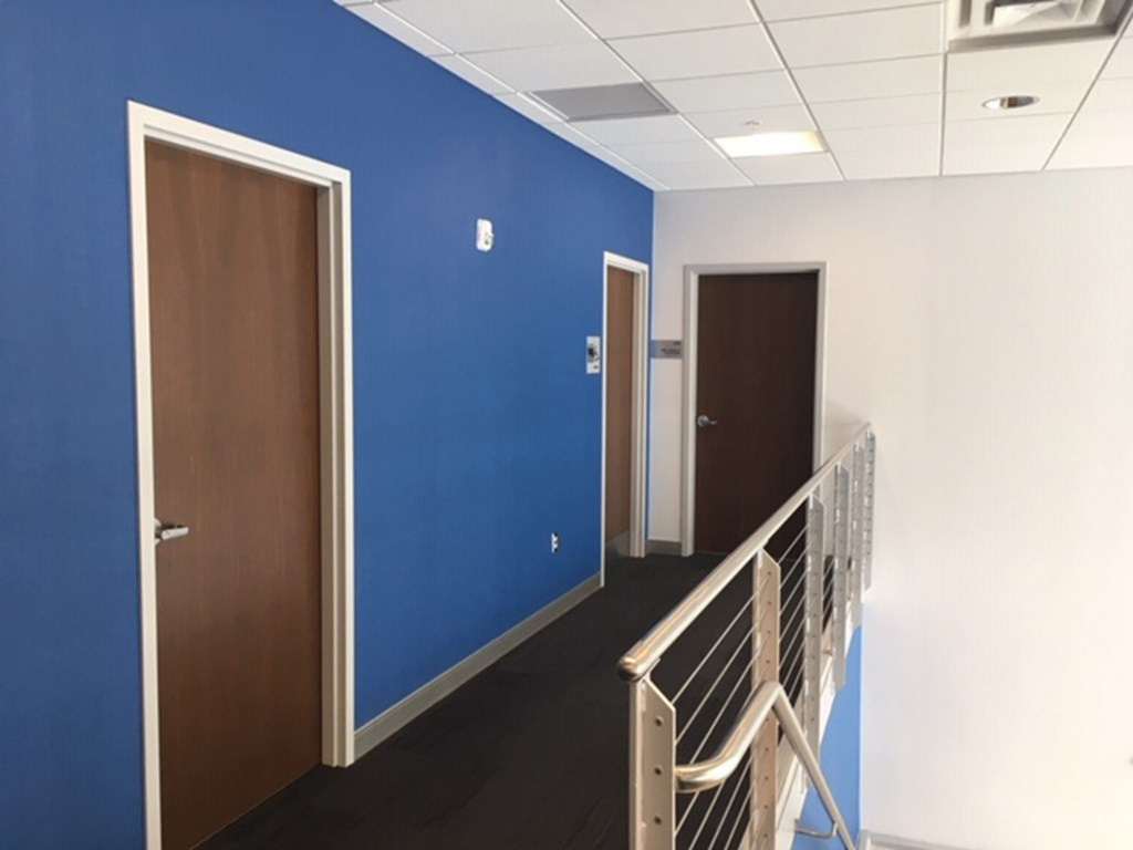 hallway with blue wall with three walnut wood door and hollow metal frames supplied by LaForce Inc.